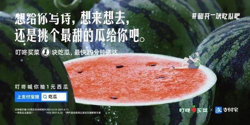 今日吃瓜文案,娱乐圈幕后故事一网打尽